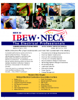 The Electrical Professionals Flyer